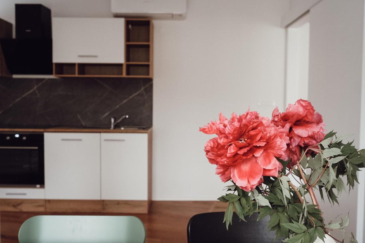 Central Apartment Maister Кран Екстериор снимка